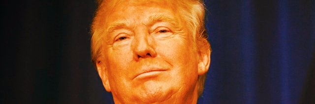 realUpTrump's profile banner image