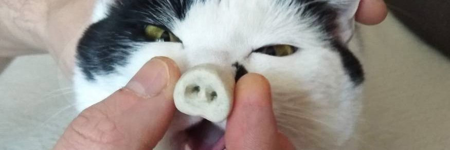 ПідйомПеревертень banner