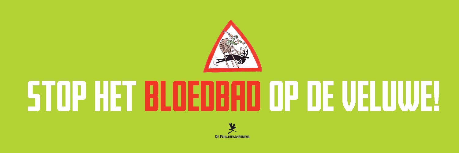 DFB Gelderland's banner