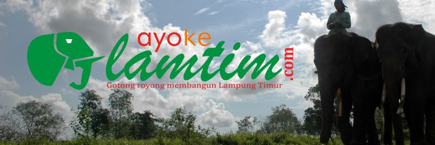 ayokelamtim's profile banner image