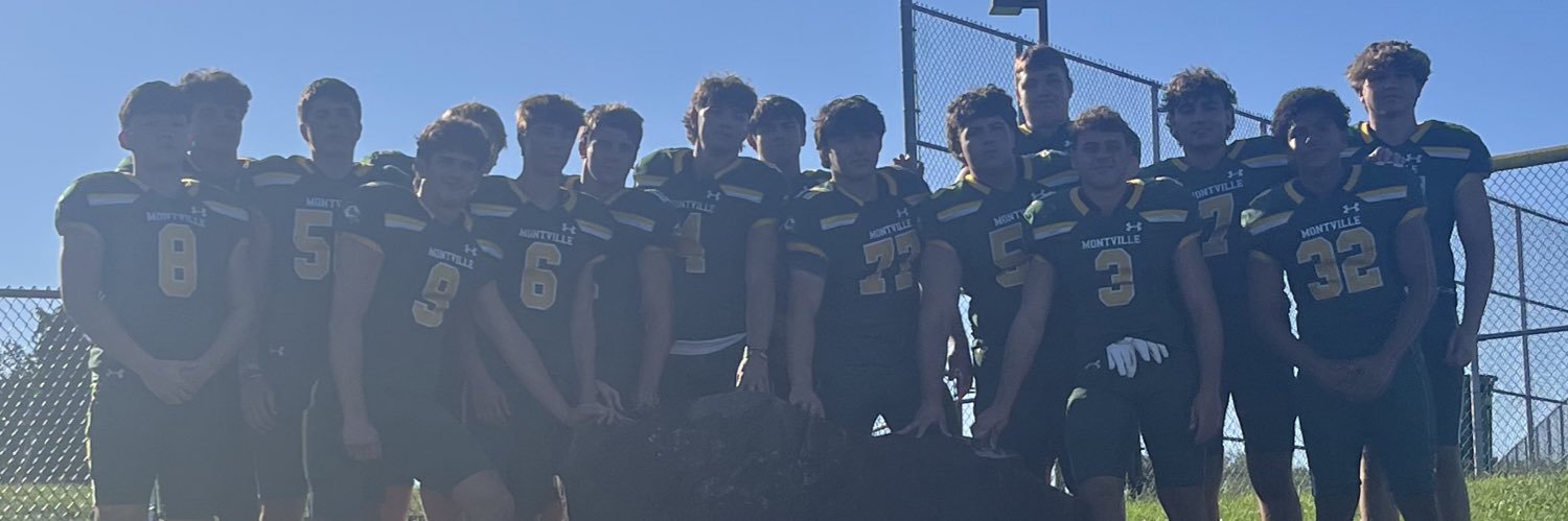 Mustangs Football banner