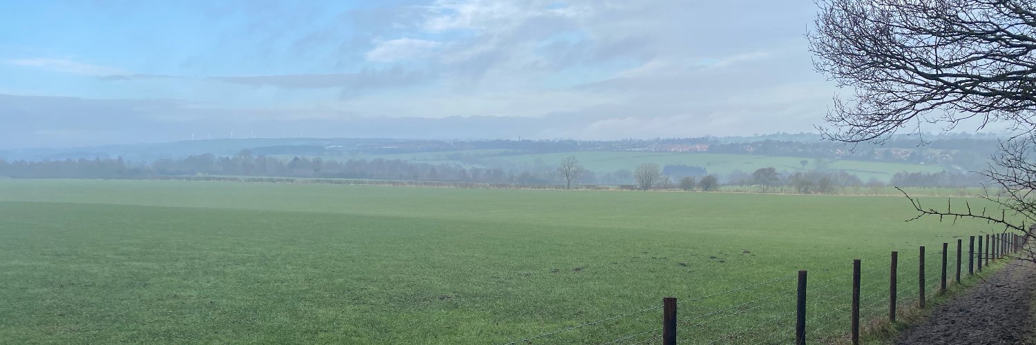 David Silkstone banner