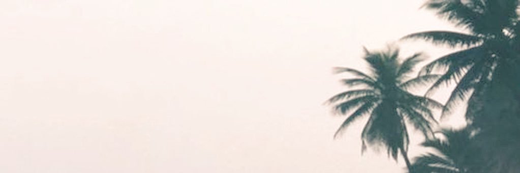 infernina's profile banner image