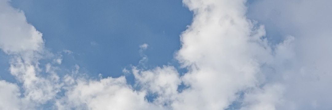 PZ banner