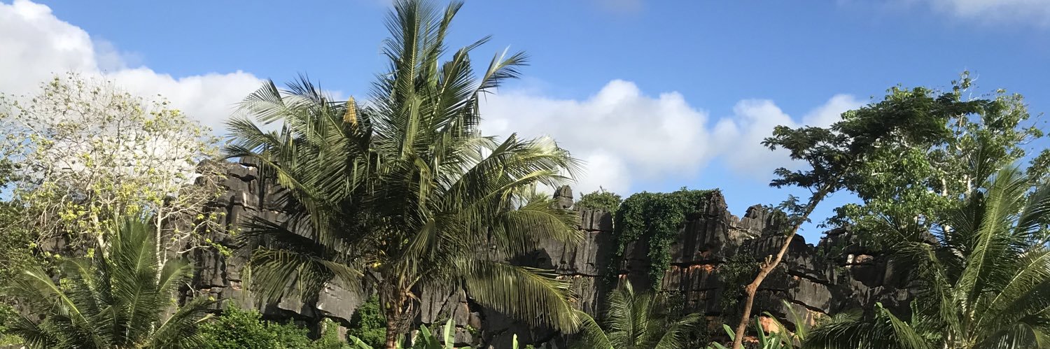 KevinKitula's profile banner image