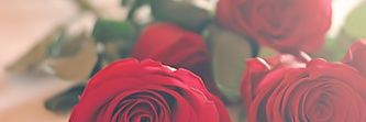 7zon74's profile banner image