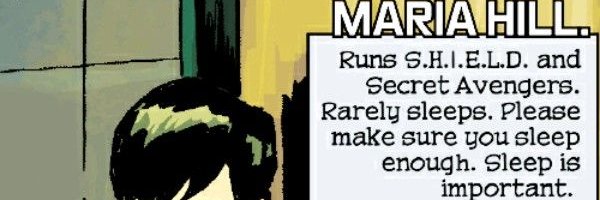 Maria Hill banner