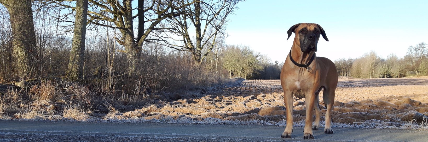 B0ERBOEL's profile banner image