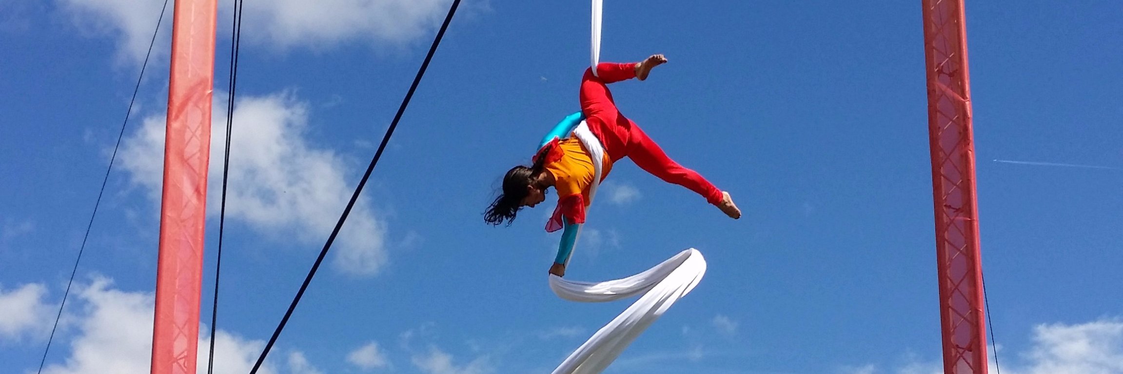 Mela Partnership banner