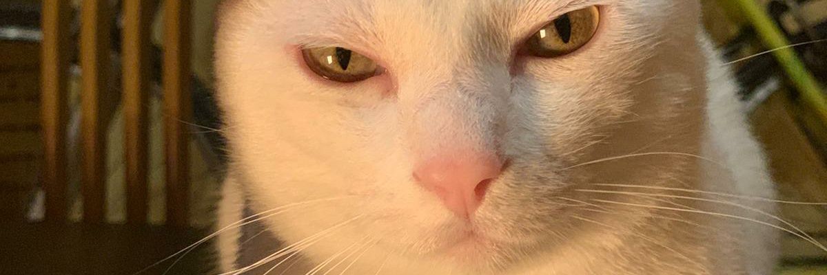 ericjg_18's profile banner image