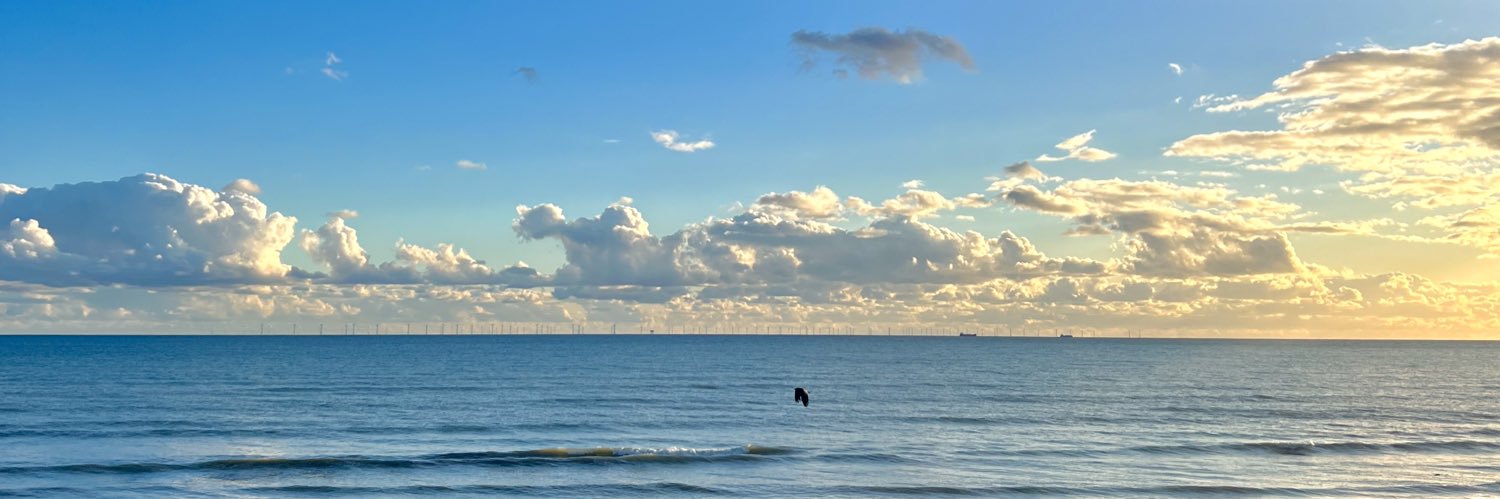 Binbinorama's profile banner image