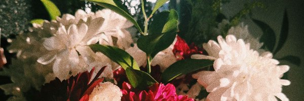 adelle_98 Profile Banner