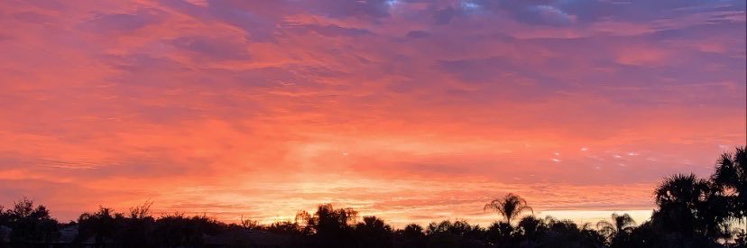 morgan_hickss's profile banner image