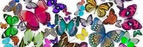 Soledad19771318's profile banner image