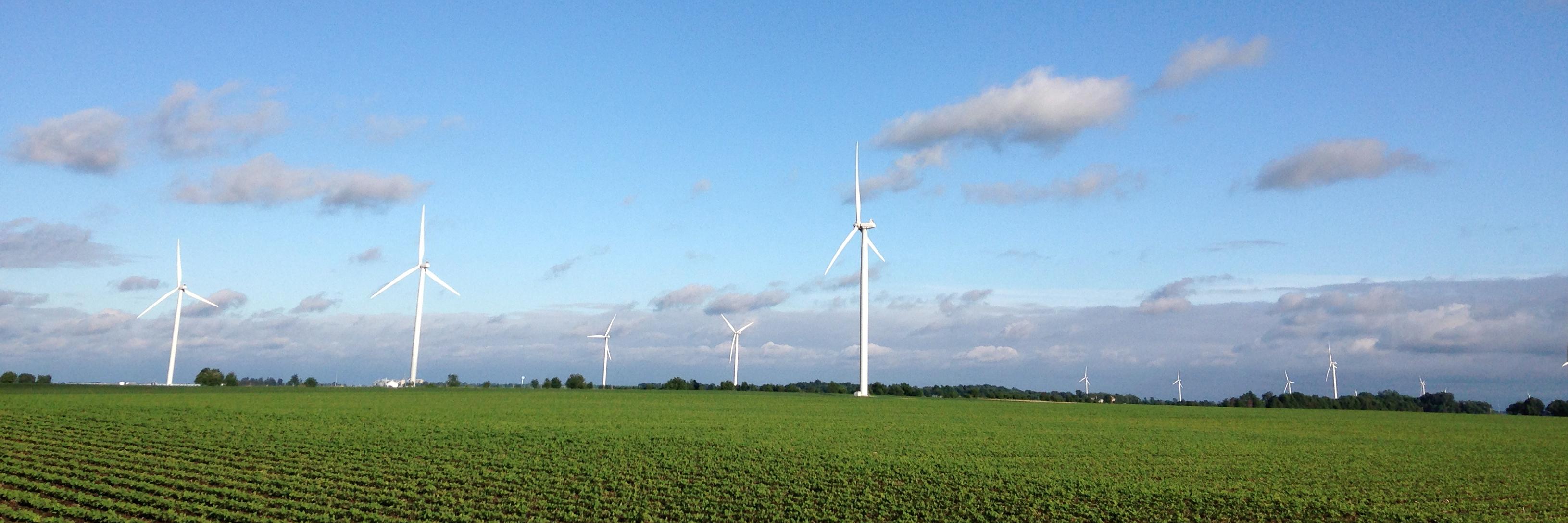 Dr. Jennifer Coy banner