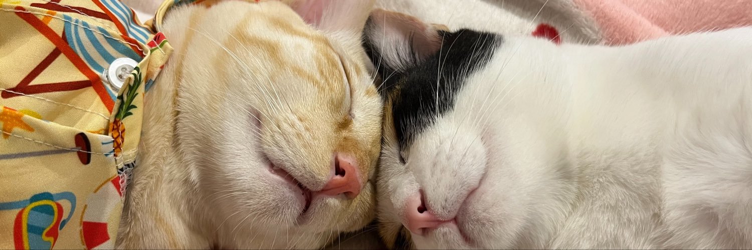 2Meekitten's profile banner image