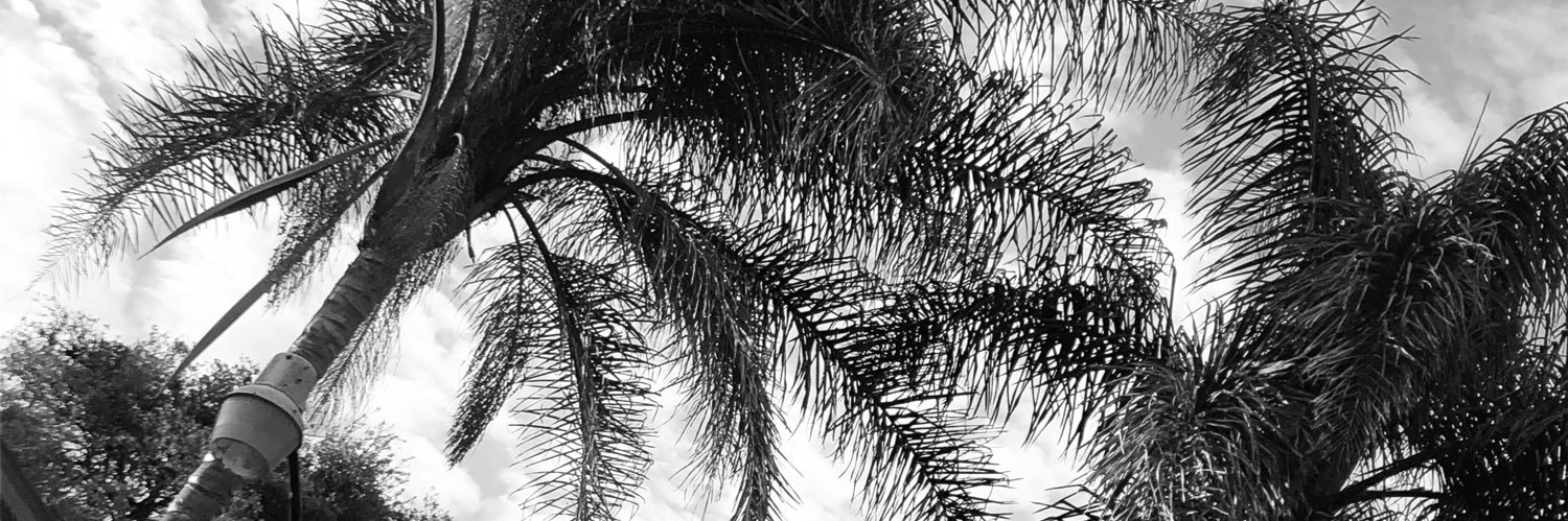 kases1599's profile banner image