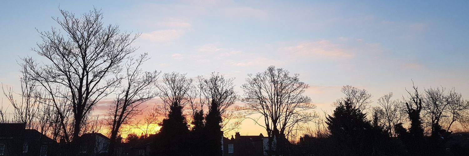 RobJPearse's profile banner image