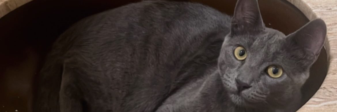 vonheld_pam's profile banner image