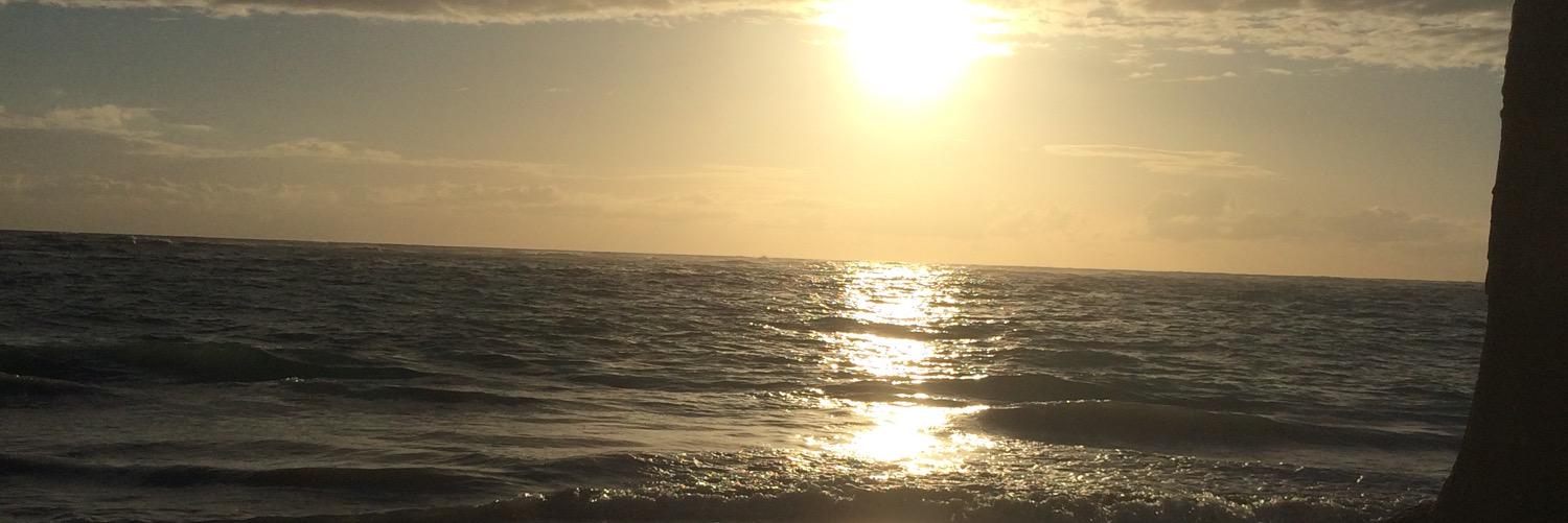 ddliking's profile banner image