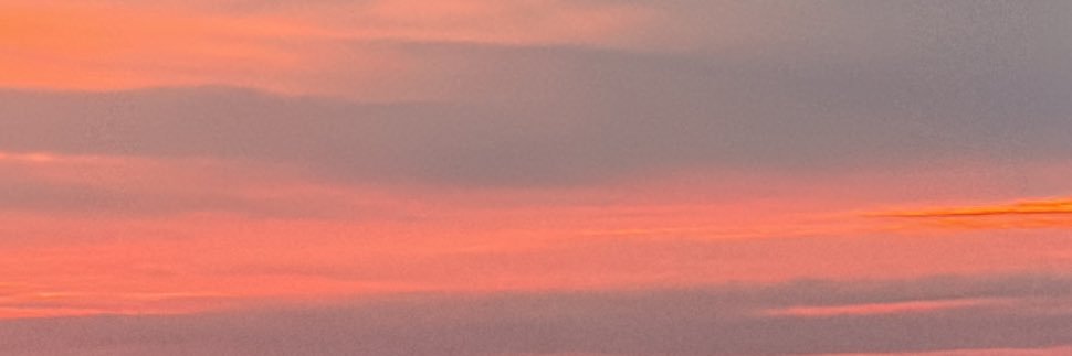 NehaGrdy's profile banner image