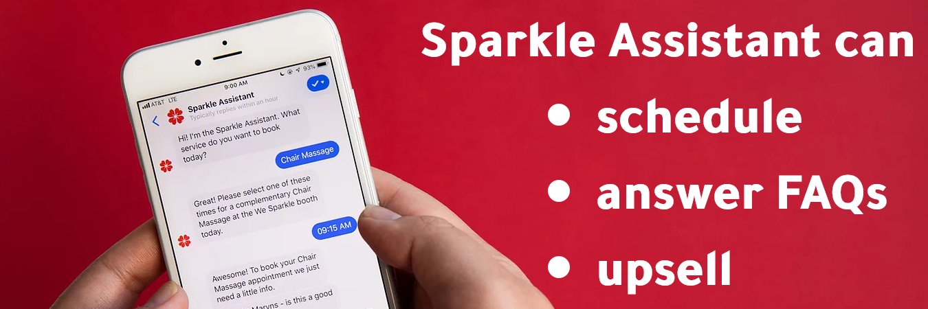 Michelle Maryns banner