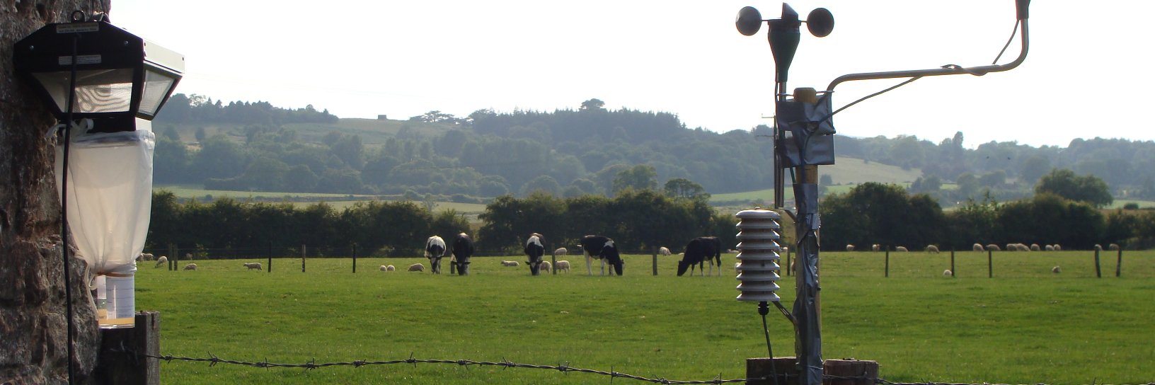 Dr Jess Stokes banner