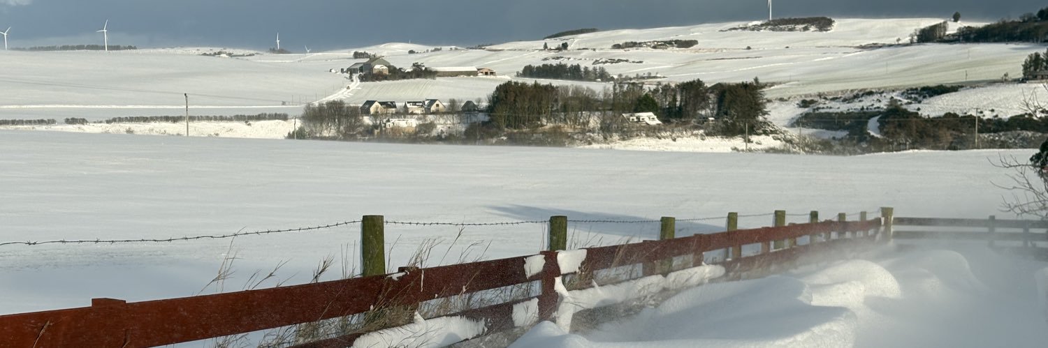 Alison Evison banner