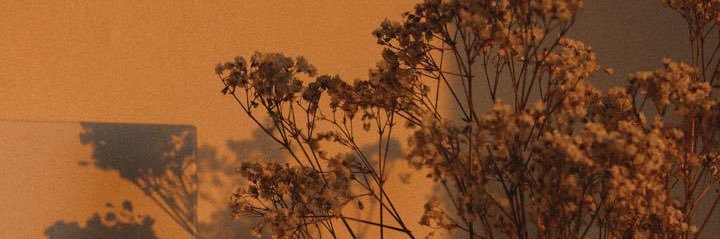 martinchii_'s profile banner image