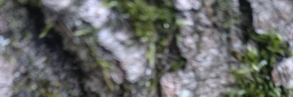 koenninator Profile Banner