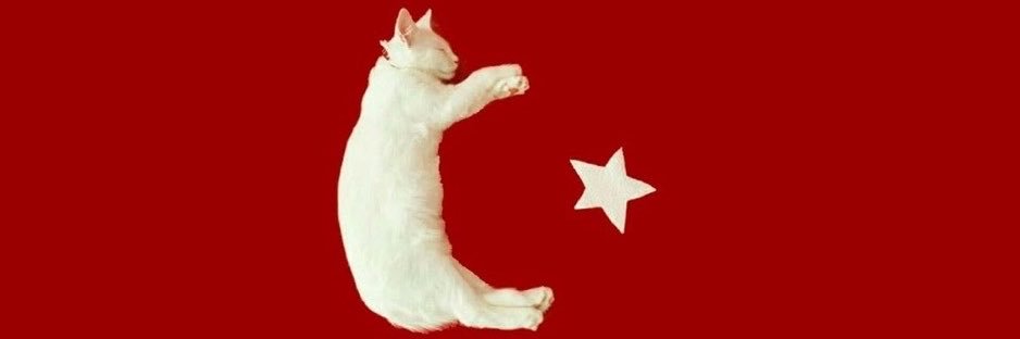 YagmurDike's profile banner image