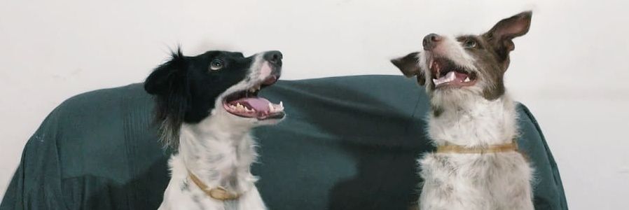 _gabsbu's profile banner image