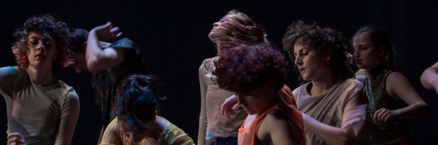 Dance Arts Institute banner