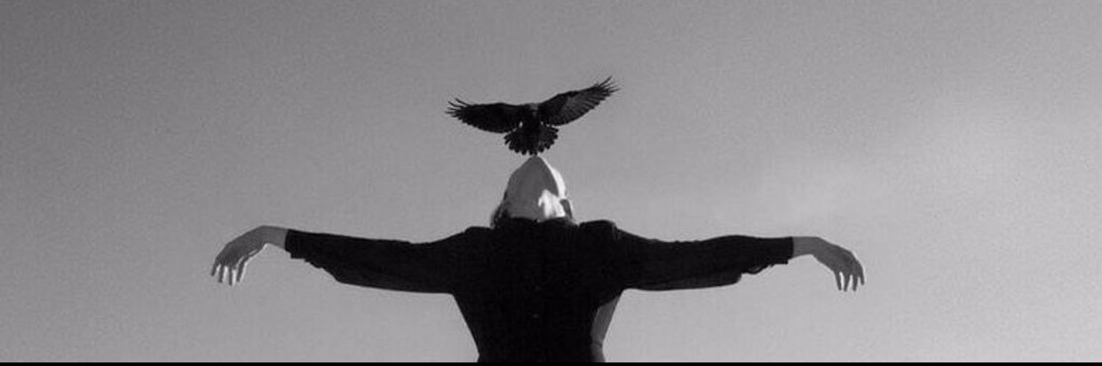 سفيرة الروح ✨🕊️ banner