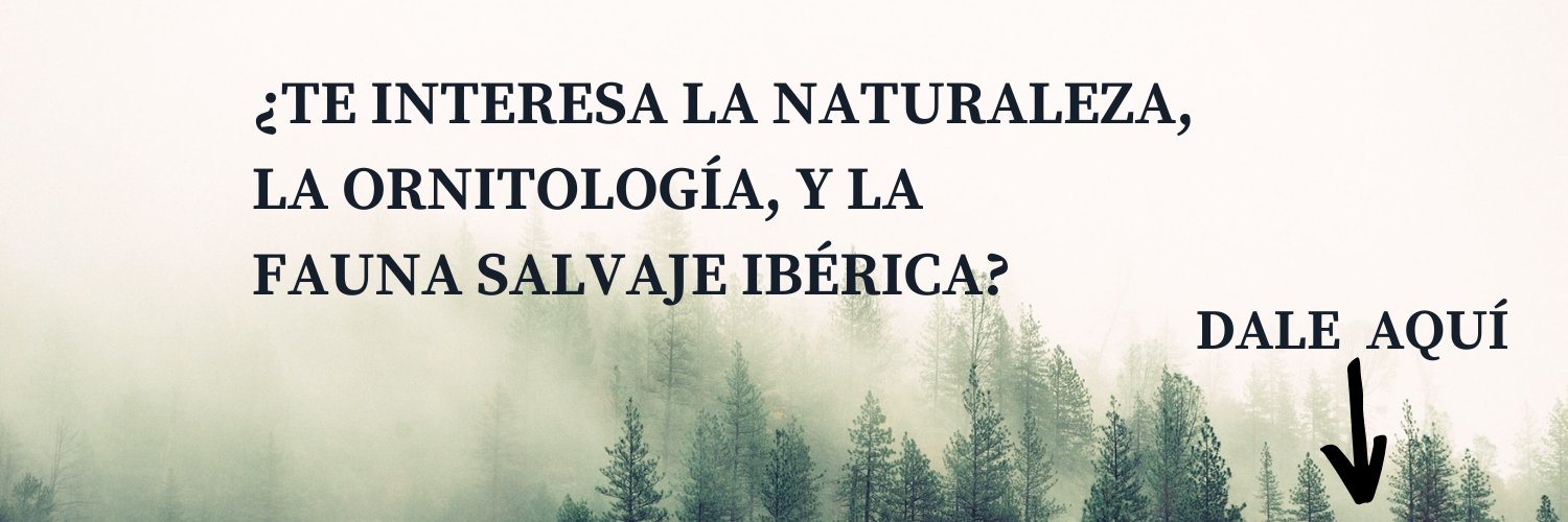 Iván Vega 🪶's banner