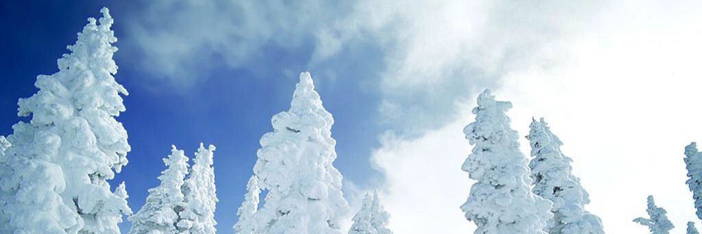 حصل خير banner