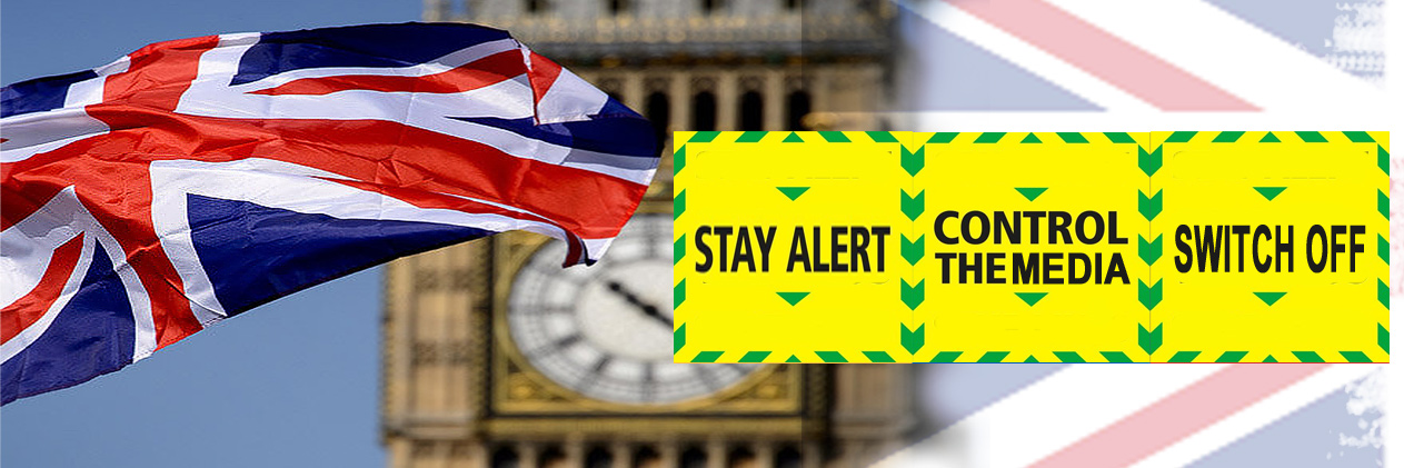 Political B 🇬🇧🌸's banner