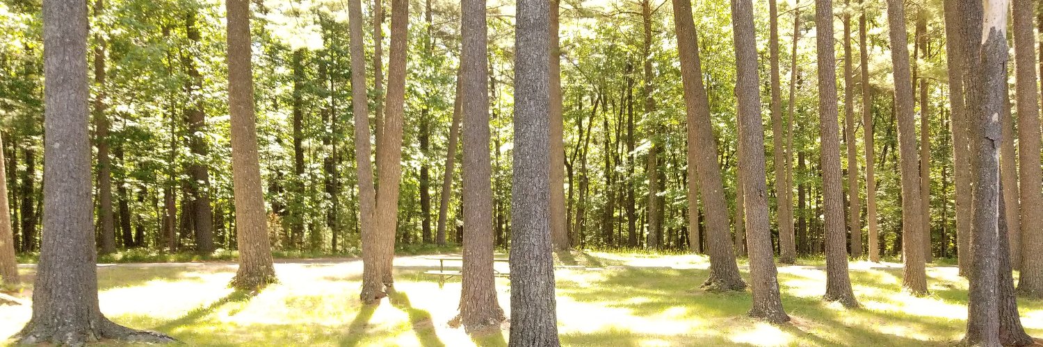 jason__mcg's profile banner image