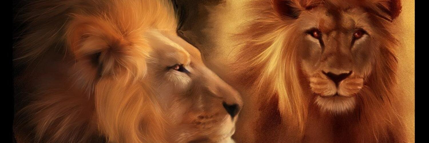 Townsend Lions Club (@TownsendLions) / Posts / X