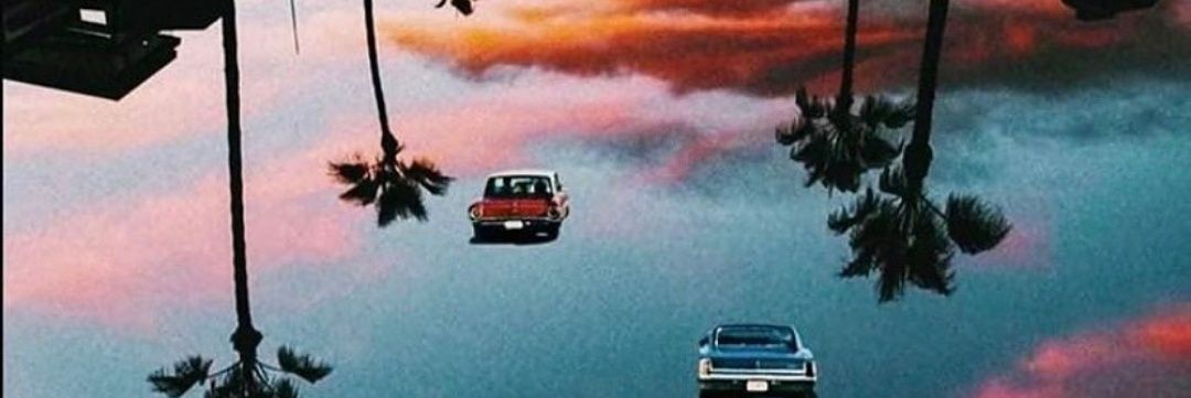 crnookaaa's profile banner image