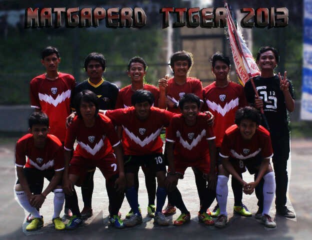 TIGER-LION-JAGUAR banner