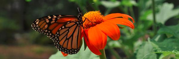 egchapma Profile Banner