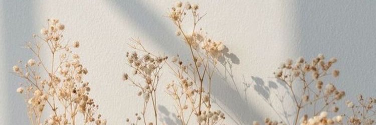 beyuhhm's profile banner image