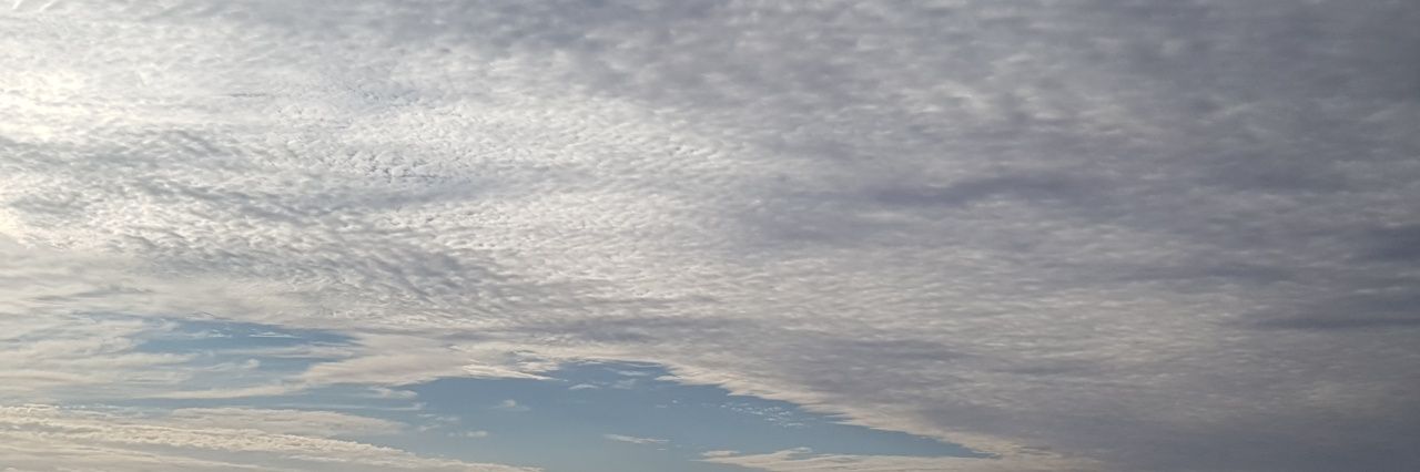 a95sy's profile banner image