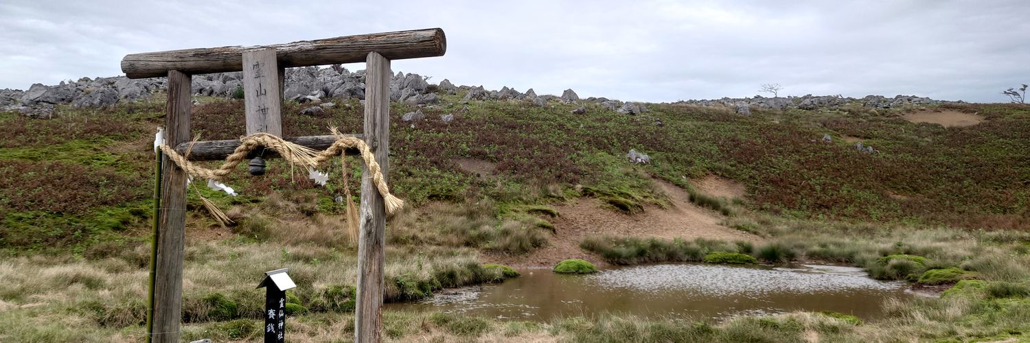 りん（りんりん🌷） banner