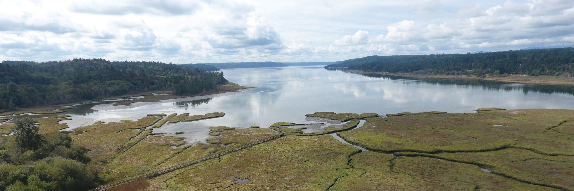 TheSalmonCenter's profile banner image