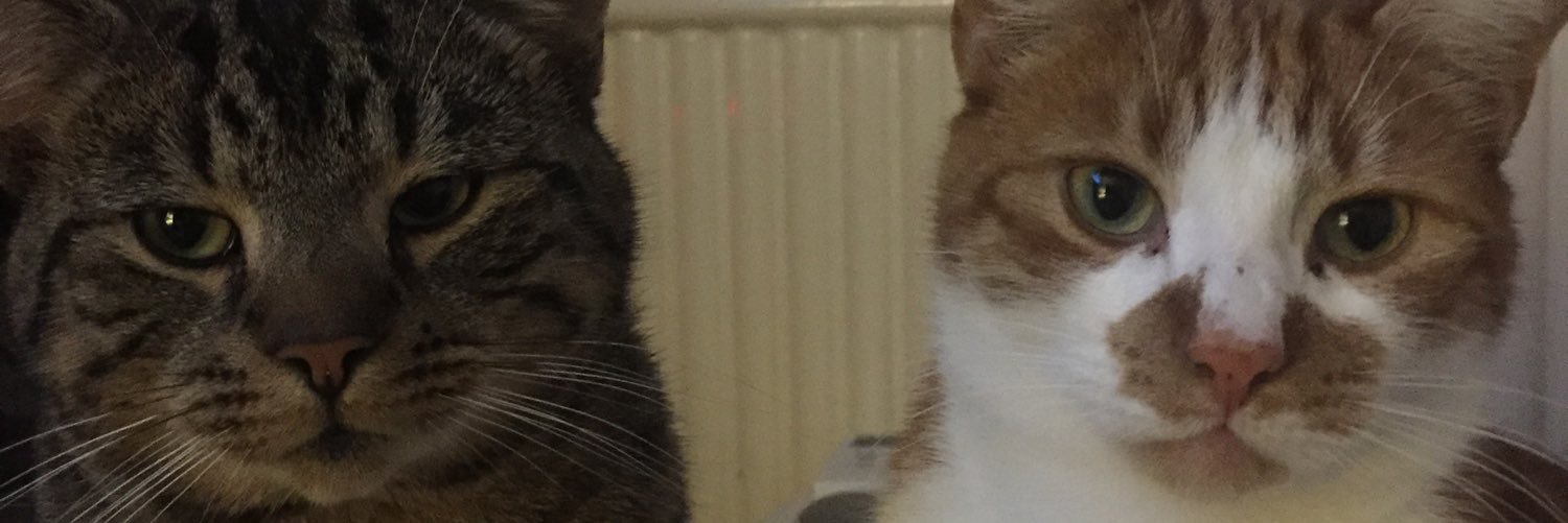 KielBroderick's profile banner image