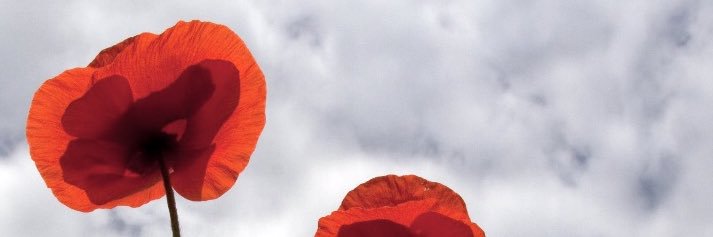 jacqueline terry🙂 banner