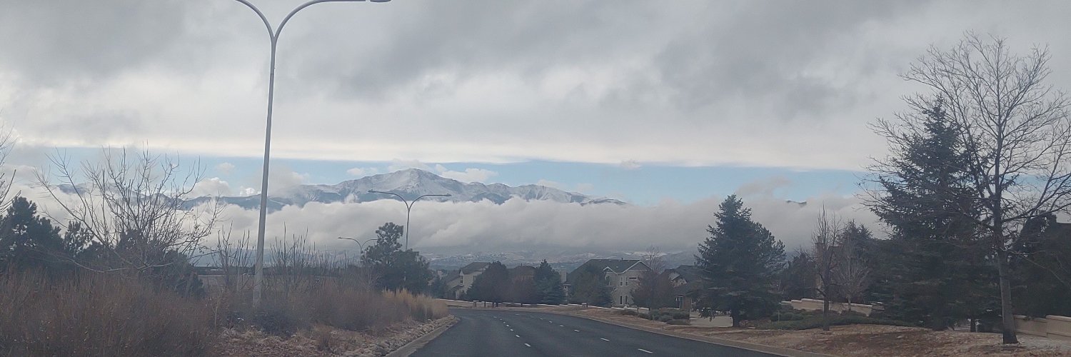 Joshua Mock🌲 banner