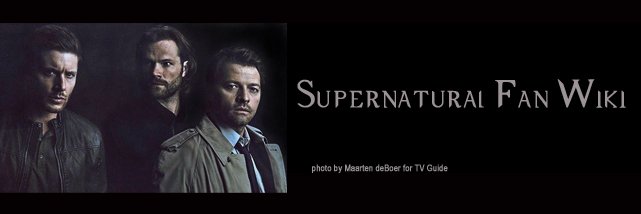 SPNFanWiki's profile banner image